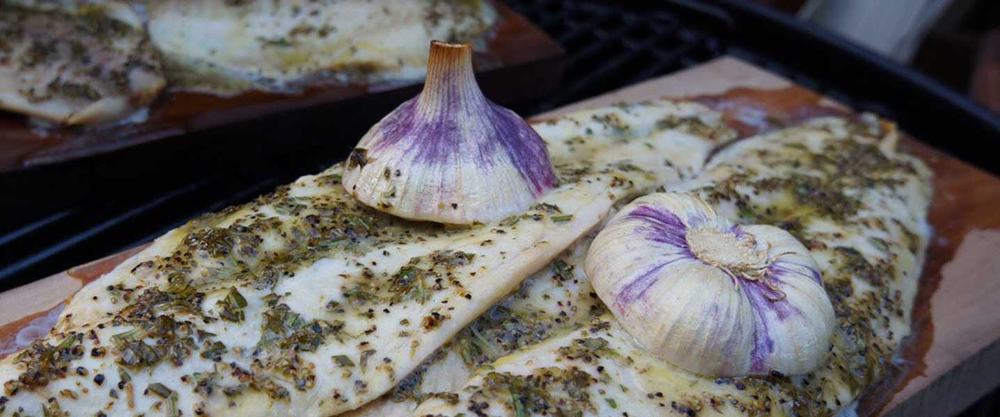 Zweierlei Plankenfisch
